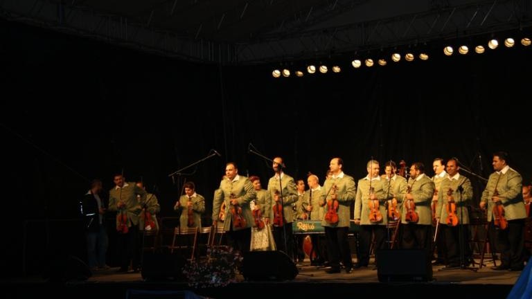 IMG_7833.jpg